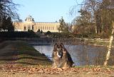 TERVUEREN in Tervuren 015